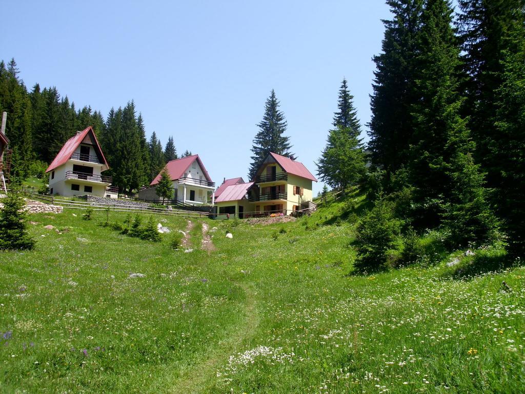 Apartment Vujisic Žabljak Pokój zdjęcie