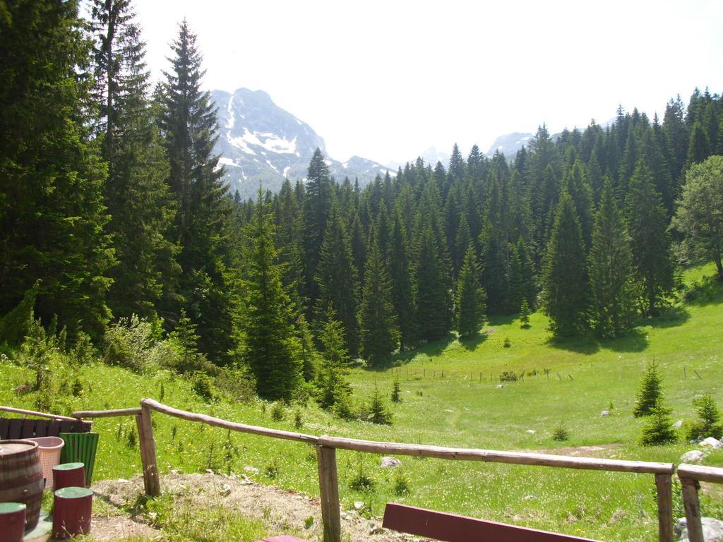 Apartment Vujisic Žabljak Pokój zdjęcie