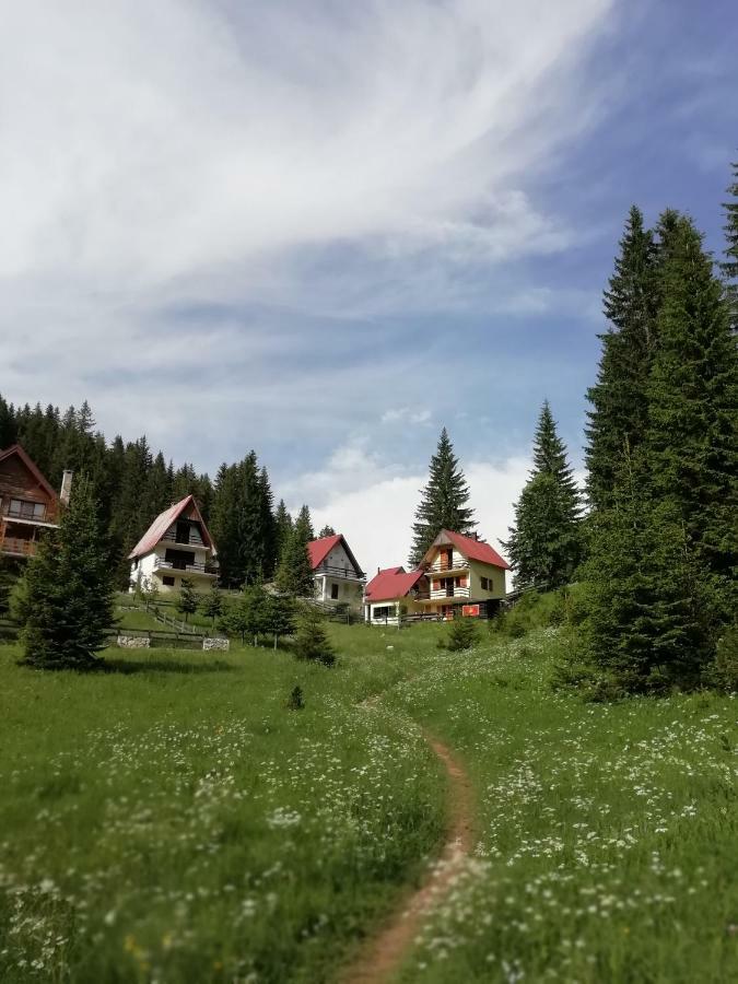 Apartment Vujisic Žabljak Zewnętrze zdjęcie