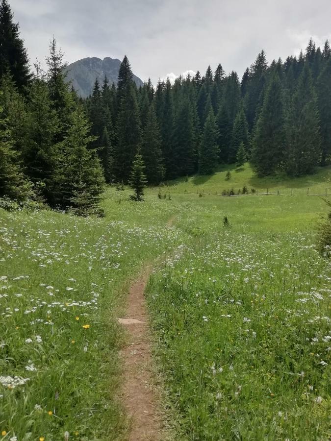 Apartment Vujisic Žabljak Zewnętrze zdjęcie